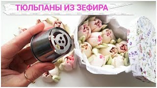 ТЮЛЬПАНЫ ИЗ ЗЕФИРА 😍💐 Одной НАСАДКОЙ [upl. by Hagen]