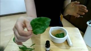 How to make a poultice out of fresh plants [upl. by Heurlin]