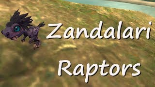 How To Obtain All 4 Zandalari Raptors  81 Battle Pets [upl. by Gnoud]