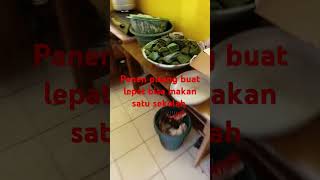 Panen pisang enak kan di buat lepat [upl. by Eisinger171]