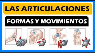 🤓 LAS ARTICULACIONES y sus MOVIMIENTOS  Tipos CLASIFICACIÓN 📖 [upl. by Yrrag]