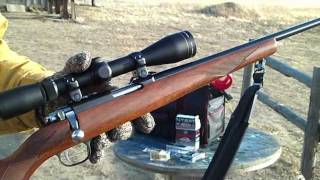 Ruger 7722 Magnum Range Report 1 [upl. by Bennett]