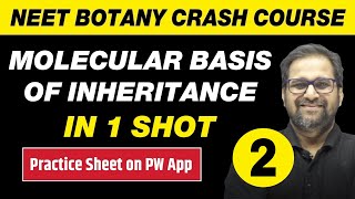 MOLECULAR BASIS OF INHERITANCE in One Shot Part 2  All Theory Tricks amp PYQs  Class 12  NEET [upl. by Atir]