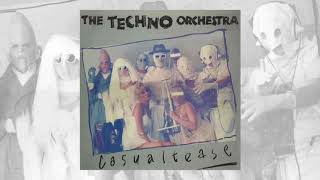 The Techno Orchestra  Casualtease [upl. by Lletram430]