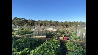 Nunawading Community Garden Forest Hill [upl. by Litton]