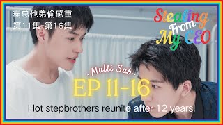 【EP11EP16】Stealing From My CEO Chinese BL series  ENG SUB｜Handsome stepbrothers finally reunite [upl. by Akemaj81]