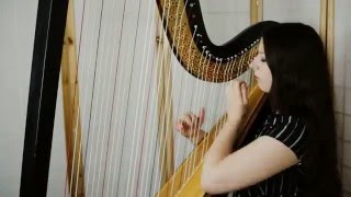 Muse  Plug In Baby  Amy Turk harp [upl. by Ntsuj]