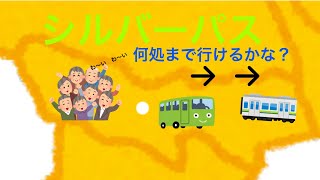 シルバーパスで何処まで行けるかな？ 交通費ゼロ。《14》 訂正都営新宿線、本八幡まで行けます。コメント頂きました。 [upl. by Namzed]