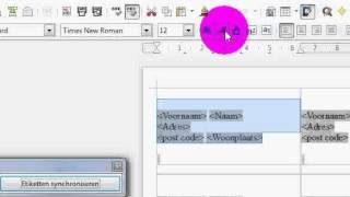 Database in LibreOffice etiketten rapporten enveloppe en briefhoofden maken [upl. by Ocinemod714]