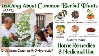 Common Herbal Plants  Home Remedies How to Grow amp Medicine Uses by Dr Vikram ChauhanMDAyurveda [upl. by Arytas]