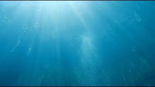 Halocline amp Thermocline Phenomenon coronpalawan [upl. by Timus]