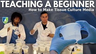 Teaching a Beginner How to Make Plant Tissue Culture Media [upl. by Orofselet379]