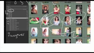 Que son los catalogos de lightroom [upl. by Witha102]