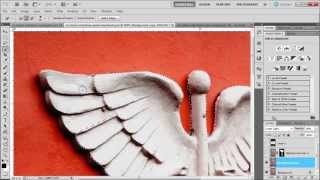 Learn how to use the quick selection tool in photoshop cs5 [upl. by Elwaine]