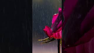 rimjhim gire sawanlove music barish yadein song bollywood [upl. by Eladnek592]