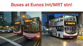 Buses at Eunos interchangeMRT stn [upl. by Eniawd]