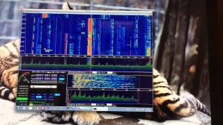 FTdx3000 on HDSDR with IF output [upl. by Leonie]