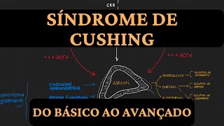 Síndrome de Cushing  do básico ao avançado [upl. by Marmaduke]