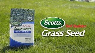 How to Use Scotts® Turf Builder® Grass Seed With 4in1 WaterSmart® PLUS Coating Technology [upl. by Laryssa]