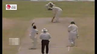 Simon ODonnell 7429 balls 6 Huge Sixes vs Srilanka 1990  Reach 5018 BallsFastest at that time [upl. by Nonnahc656]