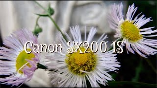 Canon SX200 IS Macro Photos [upl. by Ziwot]