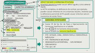 Hipopituitarismo [upl. by Constantino760]