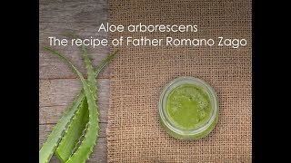 The benefits of aloe arborescens and the recipe of Father Romano Zago [upl. by Ostap]