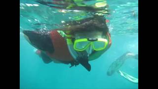 Bali Snorkeling Tour Tanjung Benoa Nusa Dua HD [upl. by Ricca]