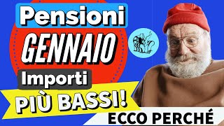 PENSIONI GENNAIO 2024 👉 IMPORTO PIÙ BASSO sul CEDOLINO❓ Ecco perché [upl. by Nyllaf]