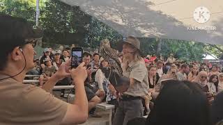 Currumbin Wildlife Sanctuary birds show [upl. by Htebsle]