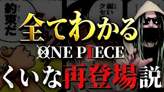 ゾロがくいなと再会する根拠【ワンピース ネタバレ】 [upl. by Amaerd]