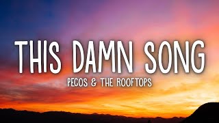 Pecos amp The Rooftops  This Damn Song Lyrics 15min [upl. by Jule]