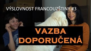 VÝSLOVNOST FRANCOUZŠTINY 3  VAZBA DOPORUČENÁ  LIAISON FACULTATIVE [upl. by Selig]