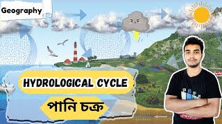 The water cycle Hydrological cycleপানি চক্রGeographyEcology [upl. by Ozmo]