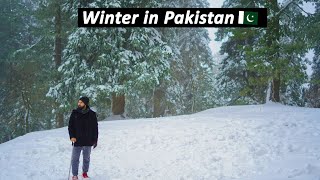 Pakistan Snowfall Places  Murree Nathia Gali  Shogran and Kashmir [upl. by Karil]