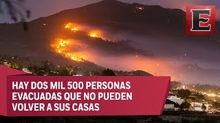 Incendio forestal en La Palma arrasa cuatro mil hectáreas [upl. by Cowie]