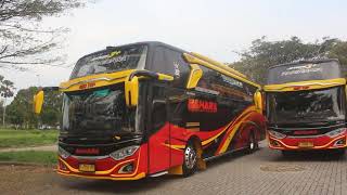 BUS PARIWISATA SAHARA TRANS TRAILER [upl. by Vanhomrigh]