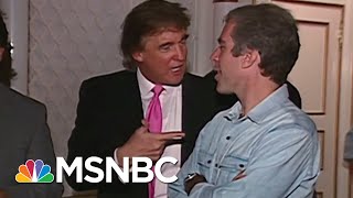 1992 Tape Of Trump And Epstein  The Day That Was  MSNBC [upl. by Eerased]