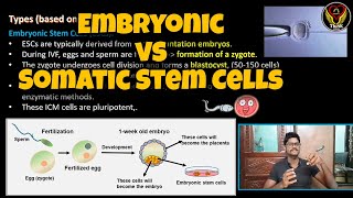 Embryonic vs Somatic Tissue Stem Cells  Tamil  Cell Biology  ThiNK Biology [upl. by Hughett875]