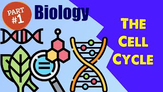 Biology Chapter 12 The Cell Cycle 11 [upl. by Felicdad724]