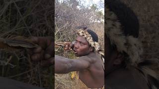 See🔥 Hadzabe hunts Target Arrows very Incredible lifestyle [upl. by Sholley534]