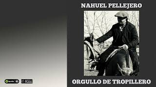 Nahuel Pellejero Orgullo de Tropillero [upl. by Anerhs977]