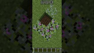 Minecraft leaves hacks minecraft shorts [upl. by Anyahc]