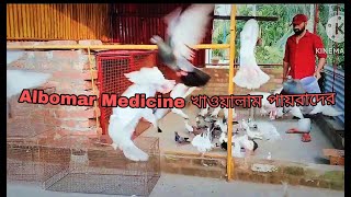 আজ সমস্ত পায়রাদের Albomar Medicine খাওয়ালাম  Aaj Samosto Payrader Albomar Medicine Khoyalam [upl. by Brogle26]