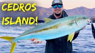 Fishing Cedros Island quotThe Videoquot [upl. by Anaile]