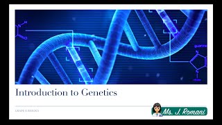 Lesson Video  Introduction to Genetics [upl. by Leahcimnaes94]