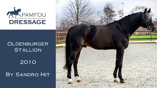 DRESSAGE HORSE FOR SALE  Grand Prix Oldenburger stallion  2010 [upl. by Josefina]