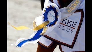 Knokke Hippique 2017 Aftermovie [upl. by Tye]