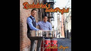 Quinteros Salsa Project  Piel y Seda Vocal Luis Enrique [upl. by Iand917]