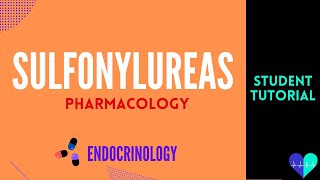 Sulfonylureas  Medical Tutorial [upl. by Nais]